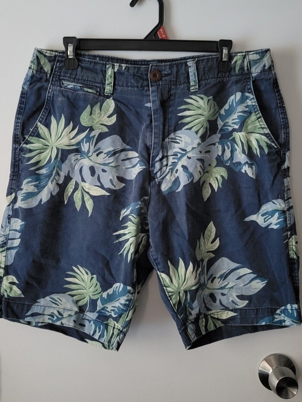American Eagle Blue Tropical Shorts